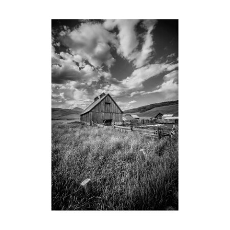 Trademark Fine Art Dan Ballard 'Black And White Barn' Canvas Art, 22x32 ALI45811-C2232GG